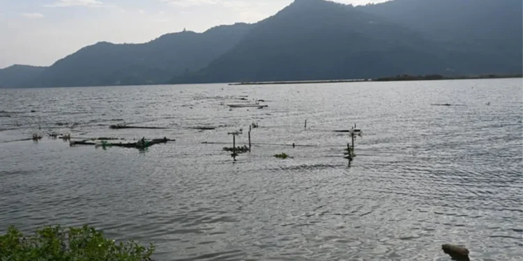 फेवातालमा माछा घट्दा जलारी समुदायको पेसा संकटमा