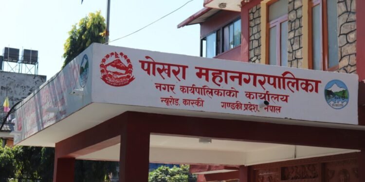 गहुँखेती प्रवर्द्धन गर्न किसानलाई अनुदान दिँदै पोखरा महानगर