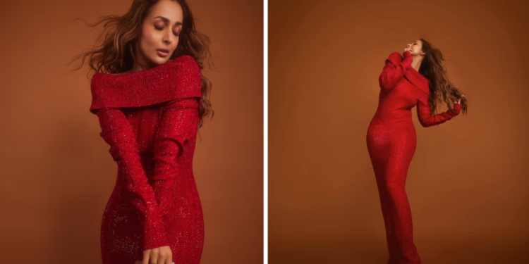 मलाइका अरोराको यो ड्रेस जाडोमा पार्टीका लागि उपयुक्त छ