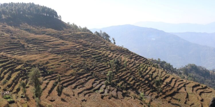 बागलुङमा ७५ प्रतिशत खेतीयोग्य जमिनमा सिँचाइ अभाव