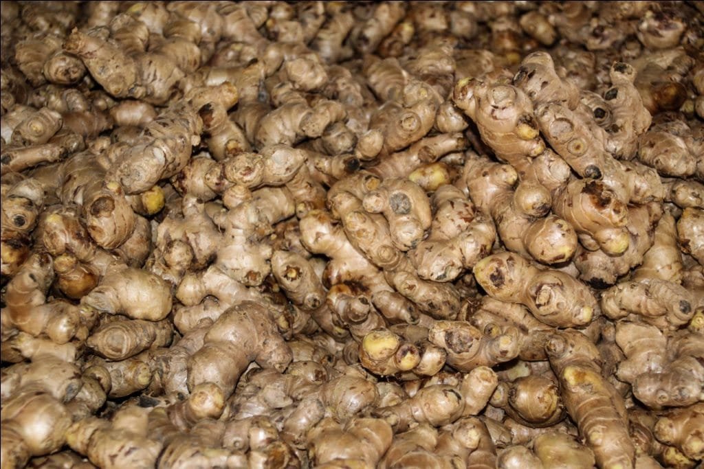 एउटै पालिकाबाट छ करोडको अदुवा बिक्री