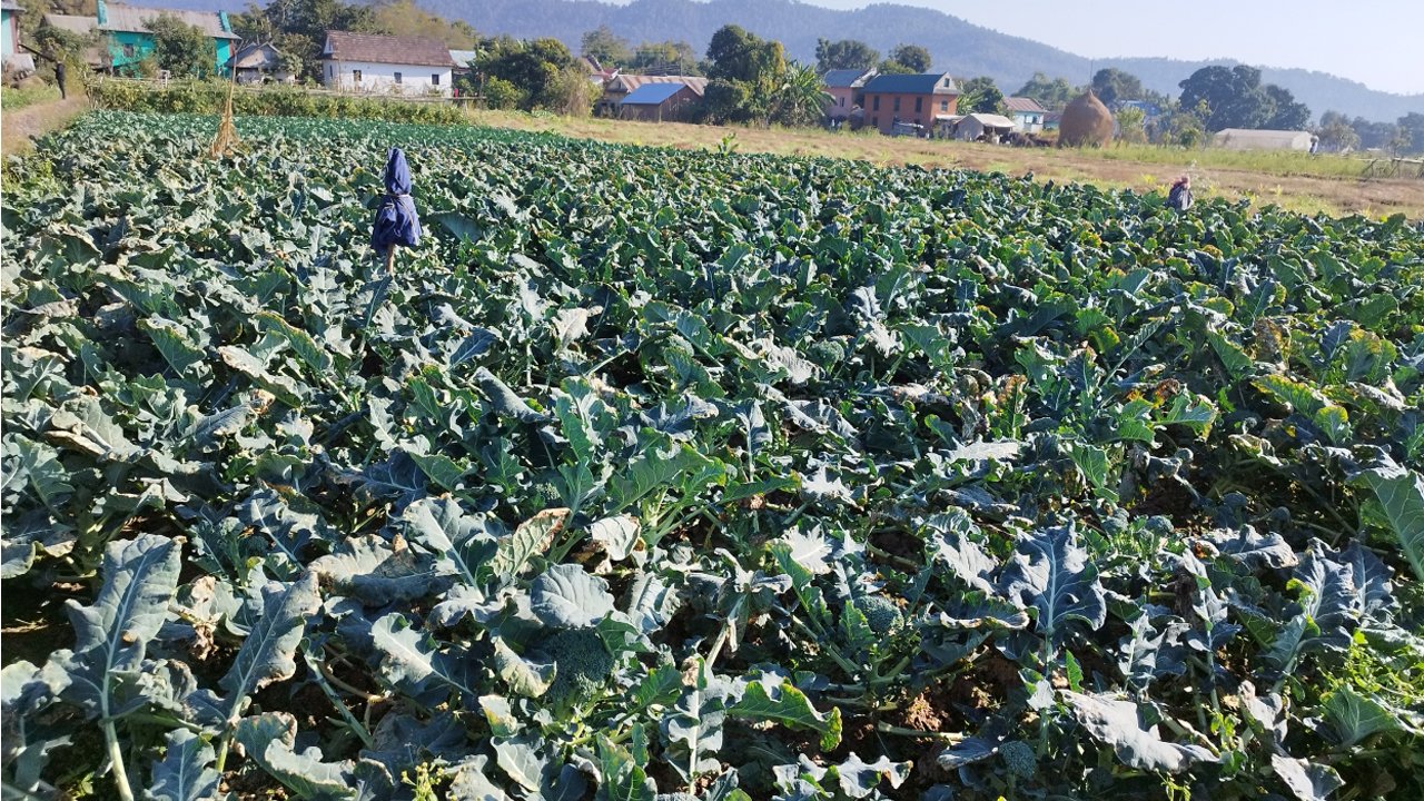 कृत्रिम जलाशय निर्माण गरी सिँचाइ