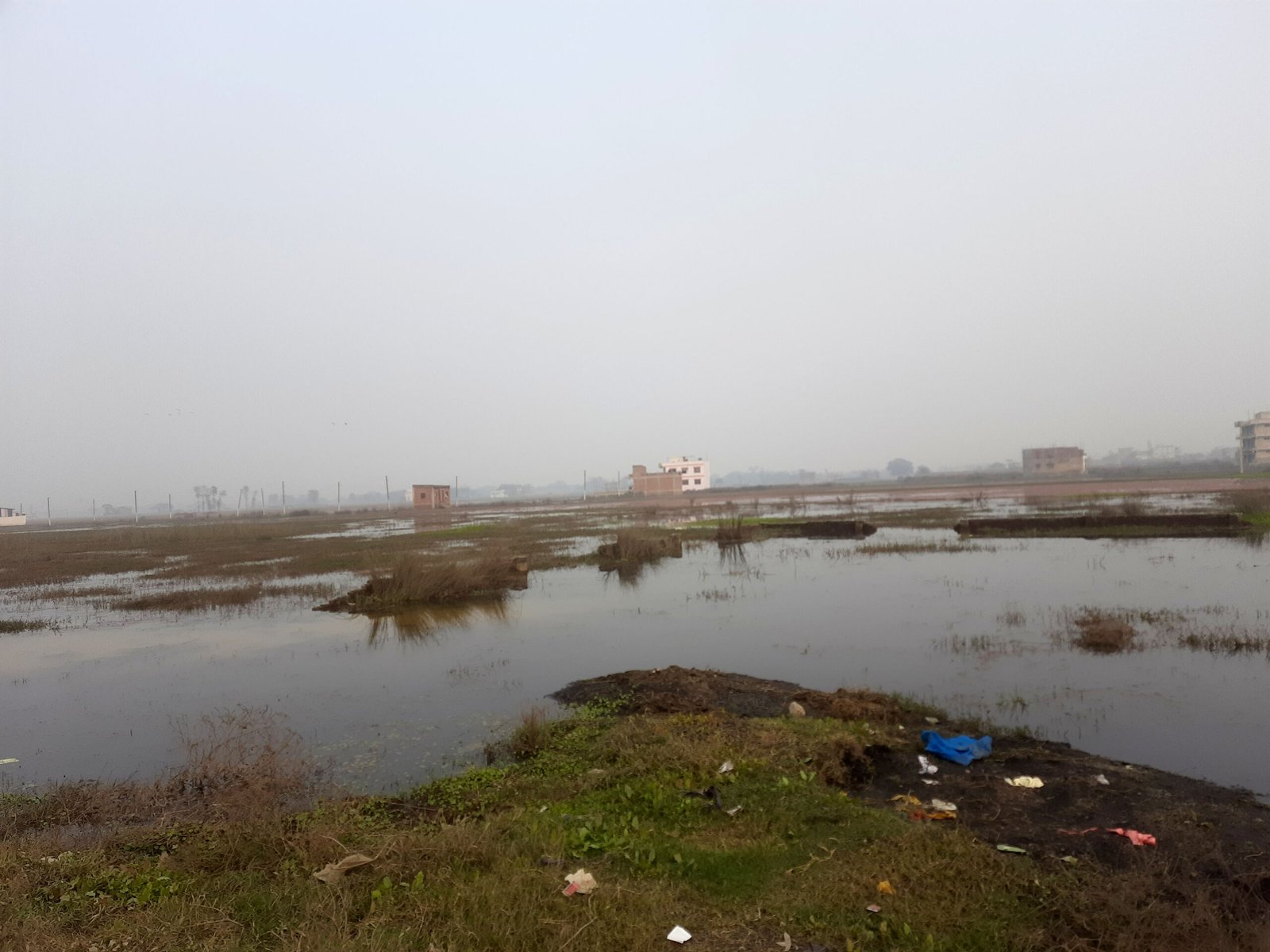 वीरगञ्जको दुई सय बिघा खेतीयोग्य जमिन डुबानमा
