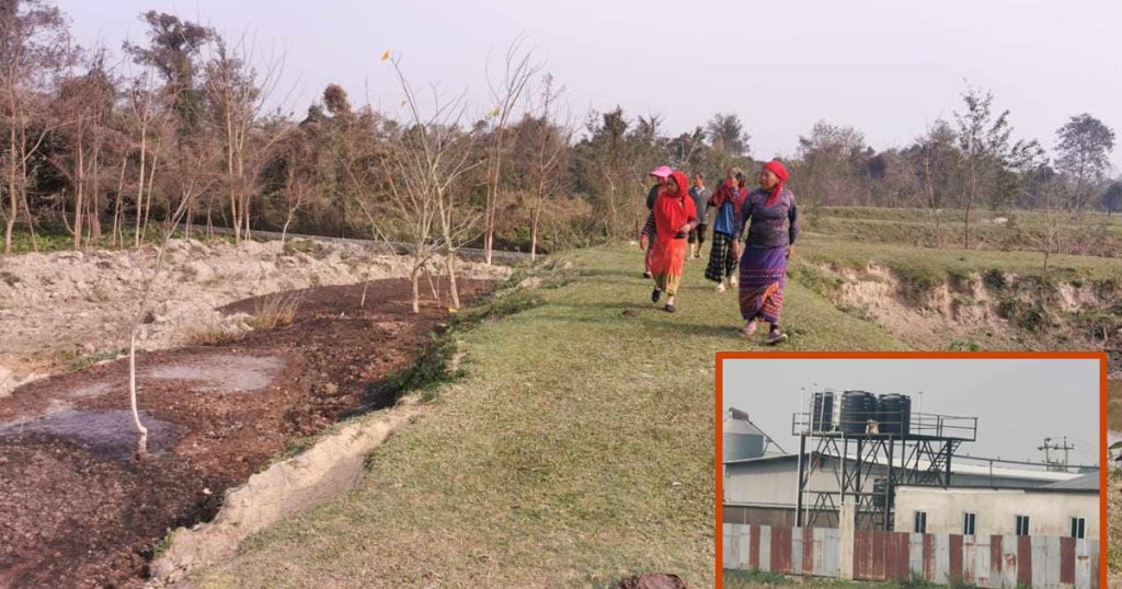 झापाको पोल्ट्री फार्मले मोरङमा दुर्गन्ध, स्थानीय आक्रोशित