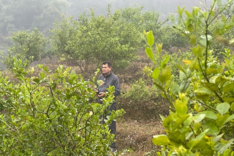 शुक्लागण्डकी नगरपालिकाका प्रमुखको व्यावसायिक कागतीखेती