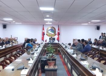 प्रधानमन्त्रीको थाइल्यान्ड भ्रमण र बिम्स्टेकको शिखर सम्मेलनमा सहभागिताबारे पूर्वप्रधानमन्त्री र पूर्वपराराष्ट्रमन्त्रीसँग परामर्श