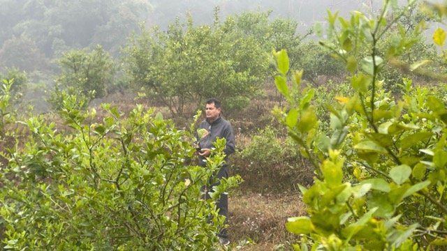 व्यावसायिक कागती खेतीमा रमाउँदै नगर प्रमुख पण्डित