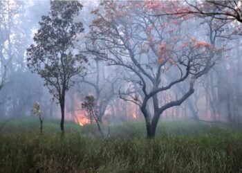 डढेलो लाग्न नदिन उच्च सतर्कता