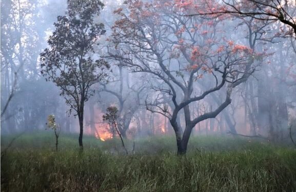 डढेलो लाग्न नदिन उच्च सतर्कता