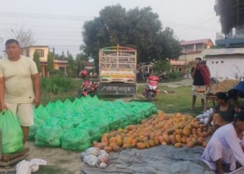 आलेखः वृद्धाश्रममा परिवारको खुसी खोजिरहेका अनुहारहरू