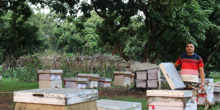 मौरीपालेर वार्षिक आठ लाख बढी आम्दानी