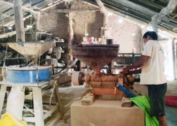 कुटानी–पिसानी मिल बनेको आम्दानीको स्रोत, मासिक एक लाख बढी बचत