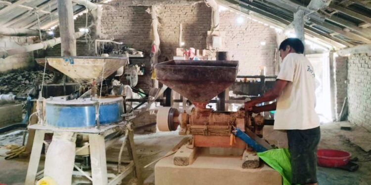 कुटानी–पिसानी मिल बनेको आम्दानीको स्रोत, मासिक एक लाख बढी बचत