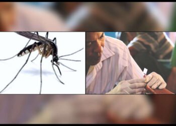 हिमालसम्मै पुग्यो औलो, हुम्ला उच्च जोखिममा