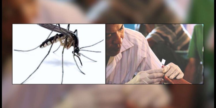 हिमालसम्मै पुग्यो औलो, हुम्ला उच्च जोखिममा