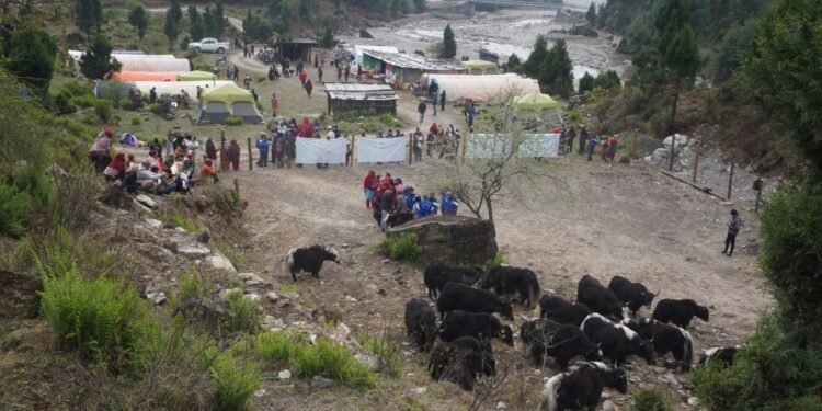 मुस्ताङमा मनाइयो याकचौरी दिवस, याकचौरी पालक किसान सम्मानित