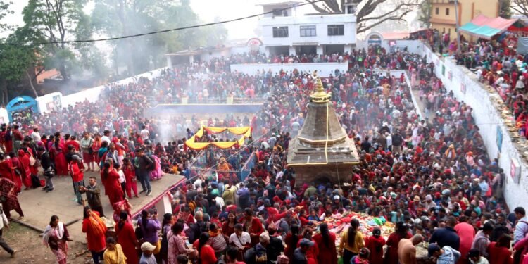 वैशाख कृष्ण औँसी : आज आमाको मुख हेर्ने पर्व मनाइँदै