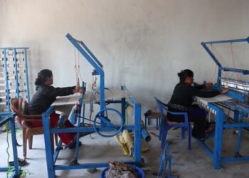 गाउँमै अल्लो प्रशोधन गरी कपडा उत्पादन