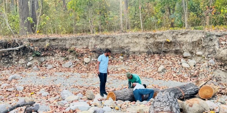 साझेदारी वन कार्यान्वयनपछि स्थानीयलाई रोजगारी