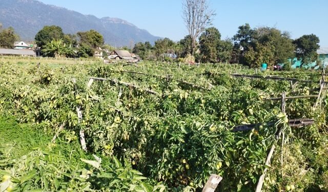 समूहबाट आर्थिक समृद्धि खोज्दै दाङका महिला