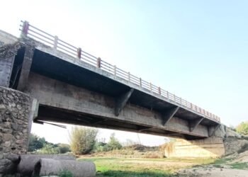 चालु आवमा सप्तरीमा १३ वटा पुल निर्माण