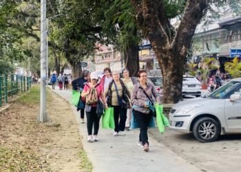 पोखरामा मुख्य याममा नै पर्यटकको आवागमन कमी