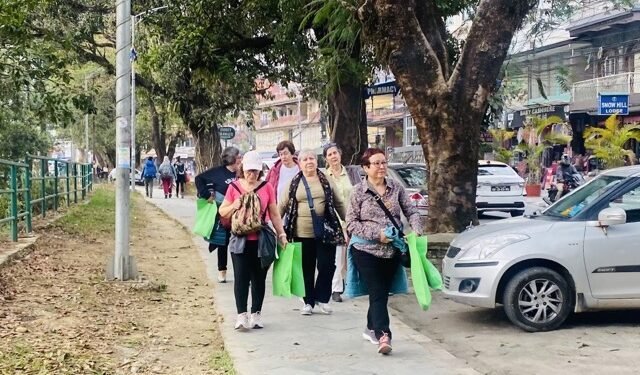 पोखरामा मुख्य याममा नै पर्यटकको आवागमन कमी