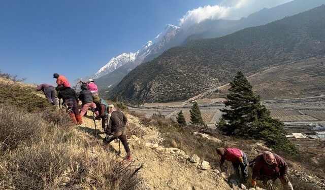 स्थानीय ‘सम्पदा’ संरक्षणमा जुटे घरपझोङका युवा