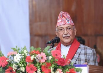 नायिक सुरक्षा पन्तकाे पक्षमा उभिए प्रधानमन्त्री