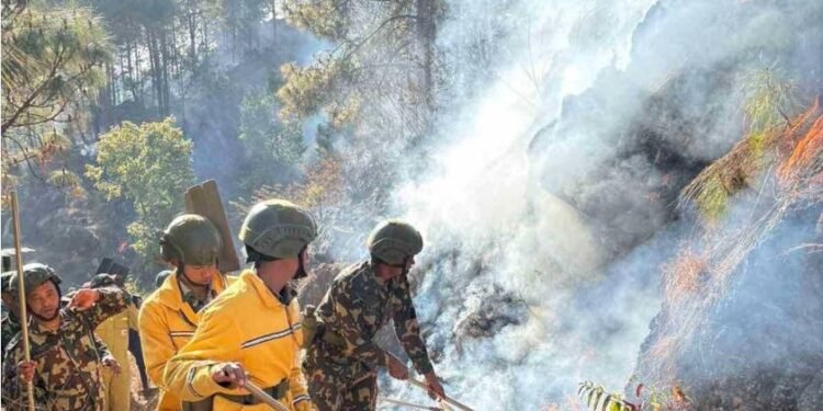 पाल्पाका जङ्गलमा डढेलोको प्रकोप, ७११ हेक्टर वन क्षेत्र नष्ट, बस्ती जोखिममा