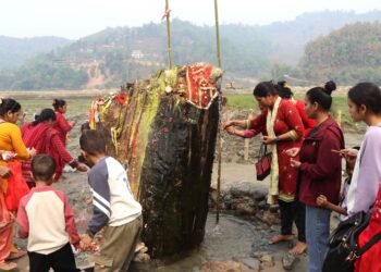 रूखको ठुटोबाट पानी आएको भन्दै स्थानीय चकित
