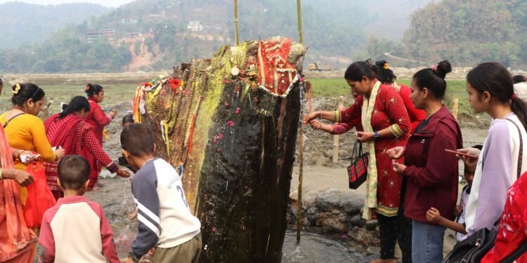 रूखको ठुटोबाट पानी आएको भन्दै स्थानीय चकित