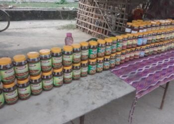 अचार बेचेरै मासिक ६० हजार कमाइ