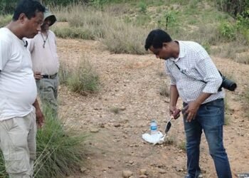 गुडन कर्विन्सलाई पछ्याउँदै ढुङ्गे हतियारको खोजी