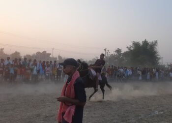 संस्कृति जोगाउन घोडा दौड