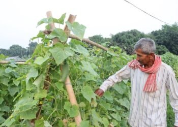 चौसट्ठी वर्षमा पनि जाँगरिला ‘युक्ति’