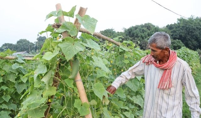 चौसट्ठी वर्षमा पनि जाँगरिला ‘युक्ति’