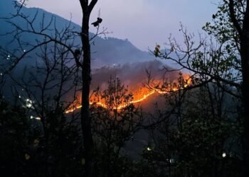 डढेलोबारे अझै छैनन् सचेत