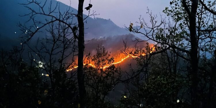 डढेलोबारे अझै छैनन् सचेत