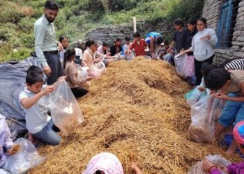 विद्यार्थीलाई पढाइसँगै सीप सिकाउँदै बेनीका विद्यालय