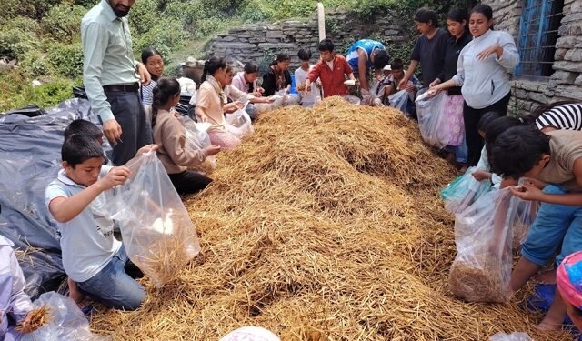 विद्यार्थीलाई पढाइसँगै सीप सिकाउँदै बेनीका विद्यालय
