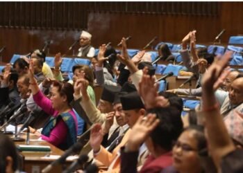 आगामी आर्थिक वर्षको नीति तथा कार्यक्रम प्रतिनिधिसभाबाट बहुमतले पारित