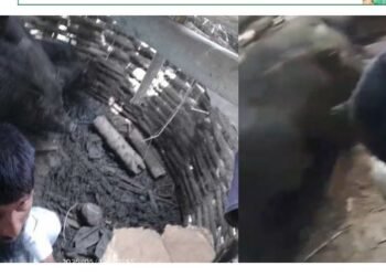 सर्लाहीमा तस्लीम अन्सारीमाथि अमानवीय हमला, सुंगुरको खोरमा थुनेर कुटपिट, १० जना पक्राउ