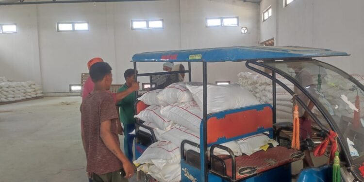 किसानलाई डुडुवा गाउँपालिकाले अनुदानमा धानको बीउ वितरण सुरु