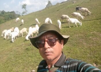 बाख्राको दूधबाट चिज बनाएर आम्दानी गर्दै गुरुङ