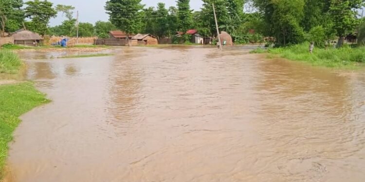 माईखोलाको बाढी बस्ती पस्यो : सुगाबथानका २२ घर डुबानमा