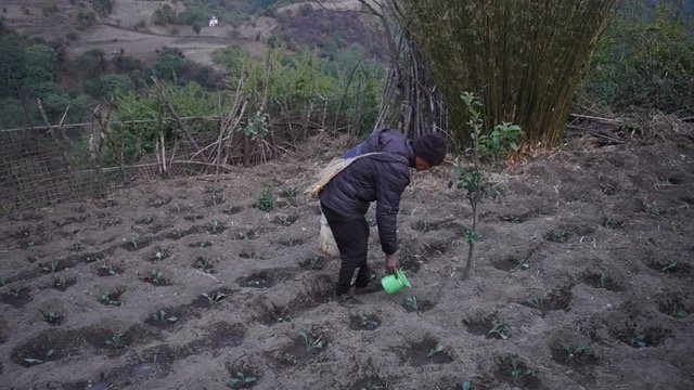 गुर्जामा सामूहिक तरकारीखेती
