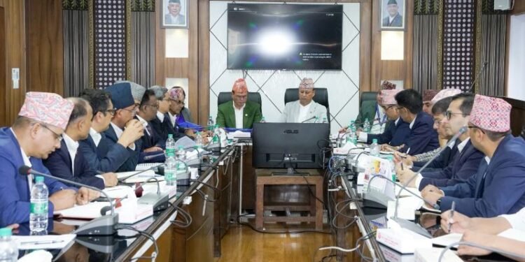 काममा ढिलासुस्ती नगर्न कर्मचारीलाई ऊर्जामन्त्री खड्काको निर्देशन