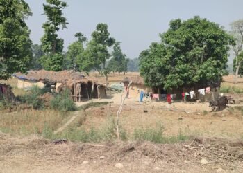 चौबीस वर्षदेखि न्यायको पखाईमा शुक्लाफाँटा आरक्ष विस्थापित