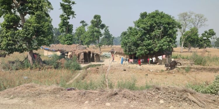 चौबीस वर्षदेखि न्यायको पखाईमा शुक्लाफाँटा आरक्ष विस्थापित